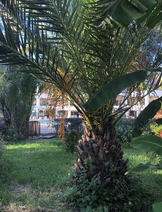 Gartenanlage Latanya Park Resort