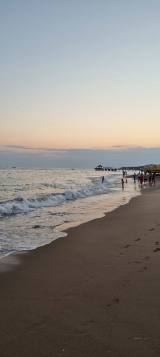 Zimmer AQI Pegasos World