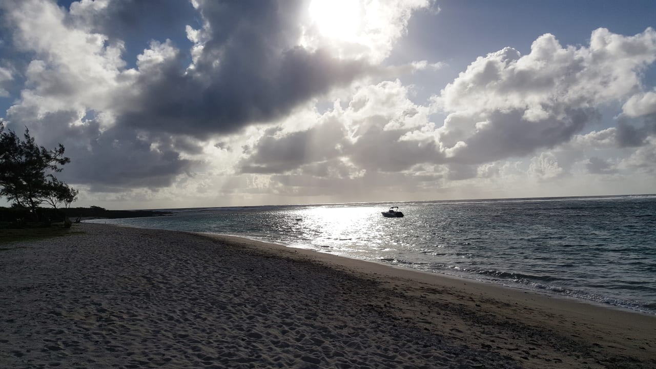 Strand Friday Attitude