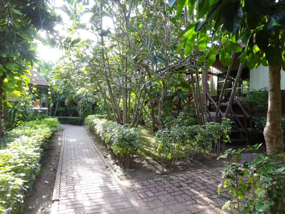 Auf dem Weg zum Strand Pinnacle Samui Resort