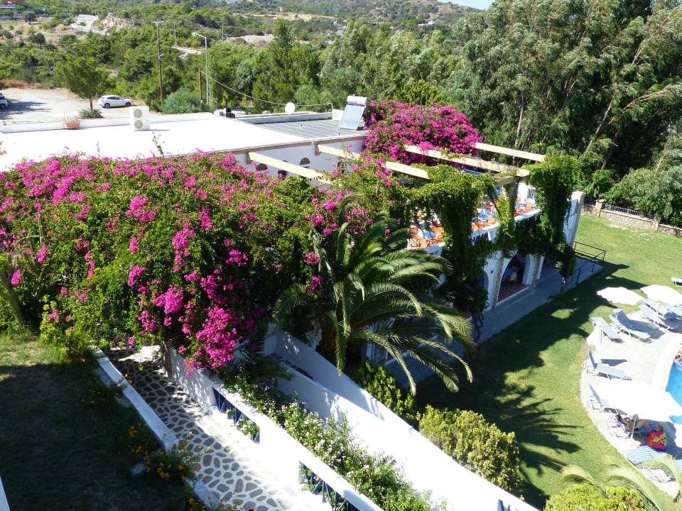Ausblick Ekaterini Hotel