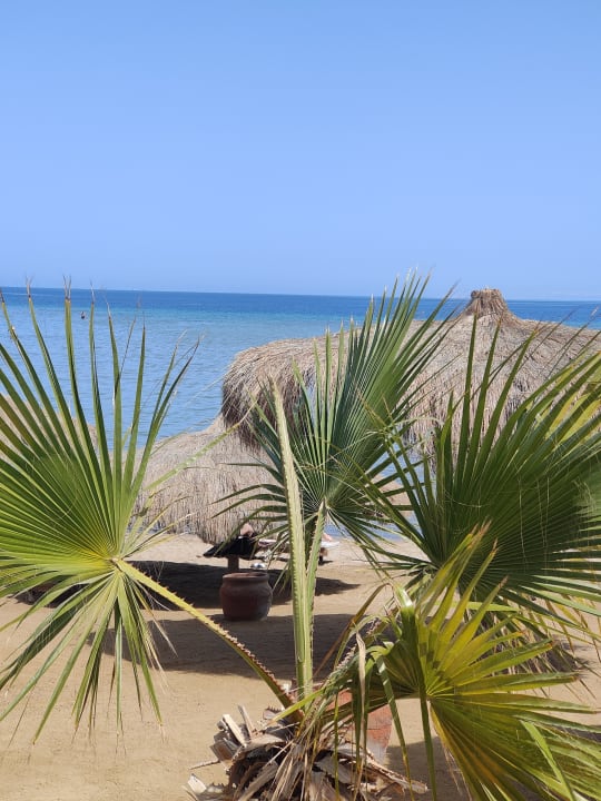 Strand Hotel Caves Beach Resort (Adults Only)