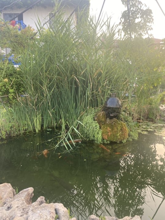 Gartenanlage Belconti Resort Hotel