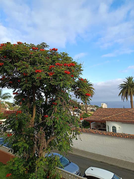 Ausblick Apartments Ambassador