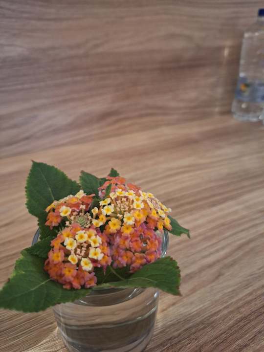 Zimmer Stella Beach Resort & Spa Makadi Bay