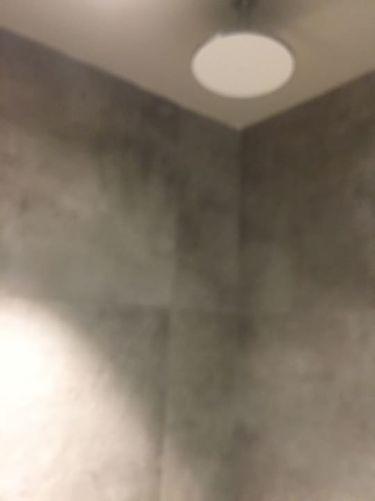 Zimmer Paloma Finesse