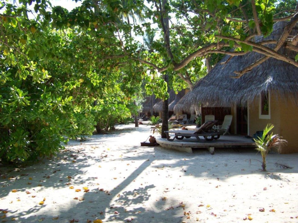 Beachbungalow Kuredu Island Resort & Spa