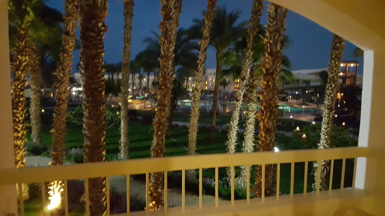 Gartenanlage Beach Albatros Resort