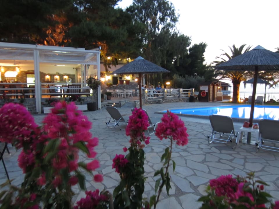 Am Abend Blue Dolphin Resort Hotel
