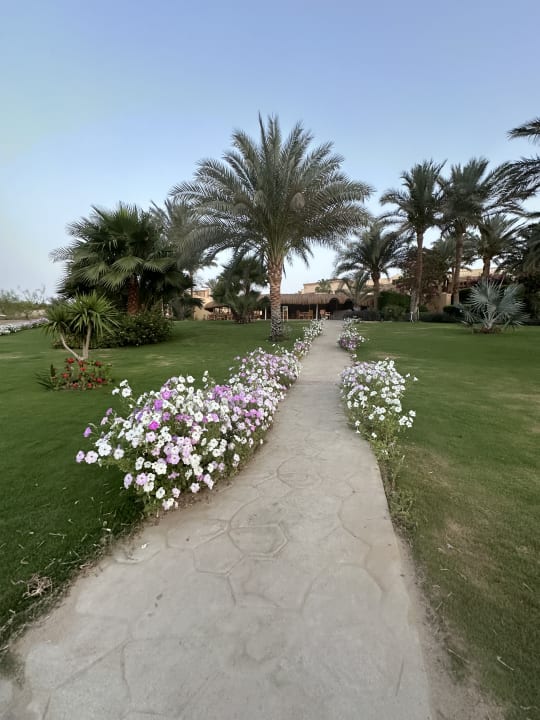 Gartenanlage Steigenberger Coraya Beach - Adults only