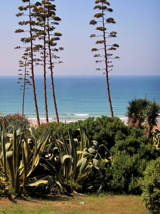 Gartenanlage Fuerte Conil-Resort