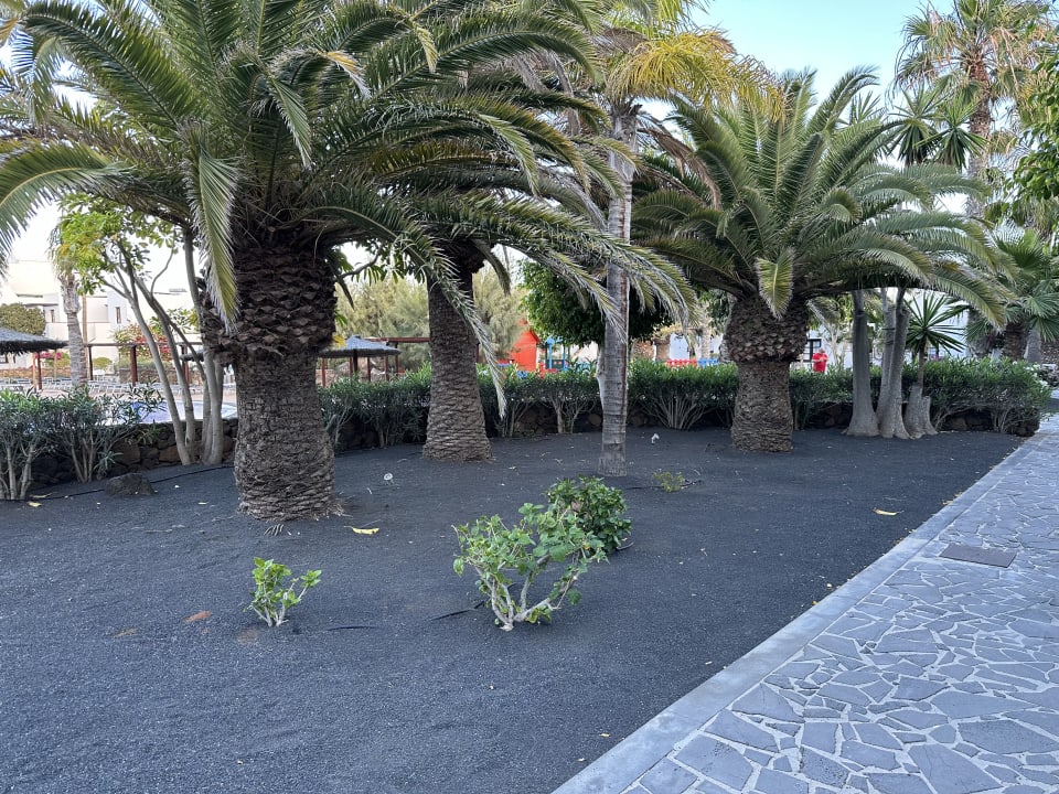 Gartenanlage allsun App.-Hotel Albatros