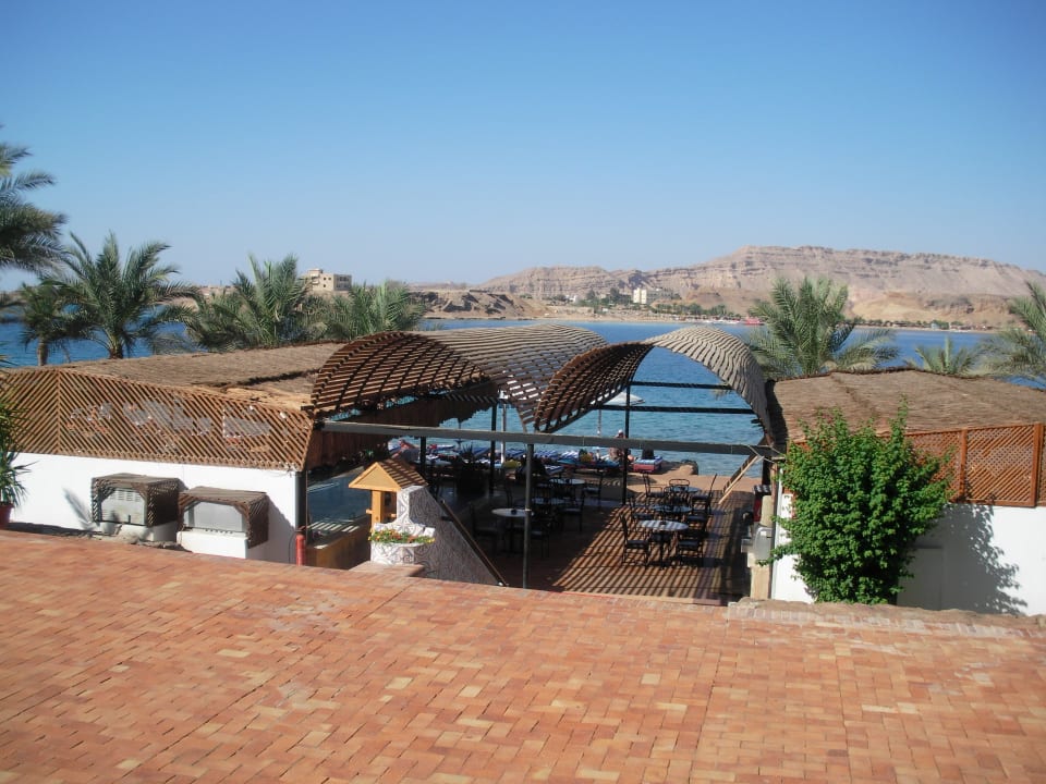 Strandbar Albatros Sharm Resort
