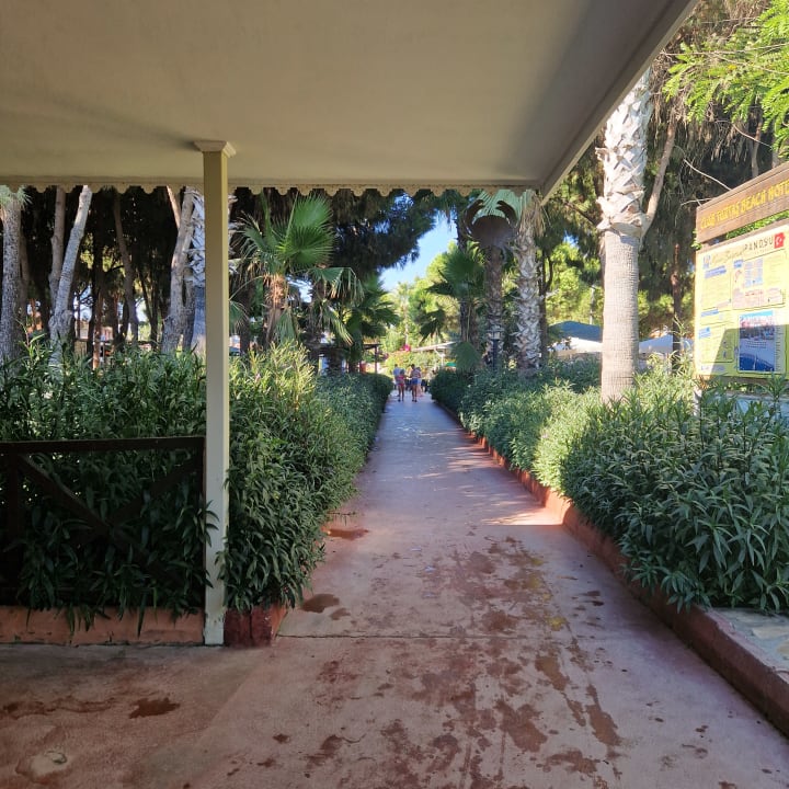 Gartenanlage Club Turtas Beach Hotel