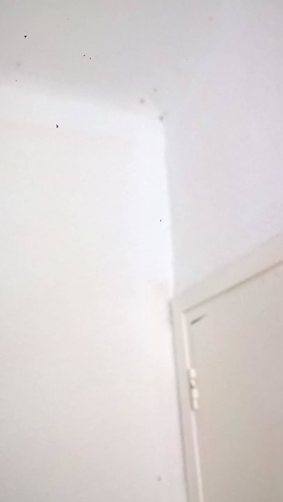 Schimmel in 94B Sun Club Eldorado