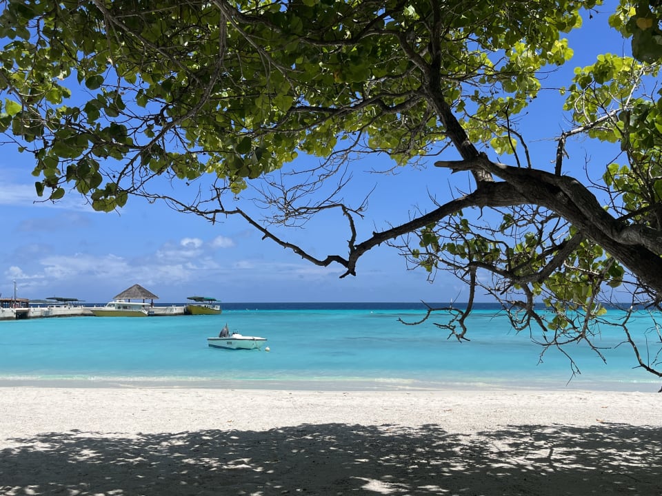 Strand Summer Island Maldives