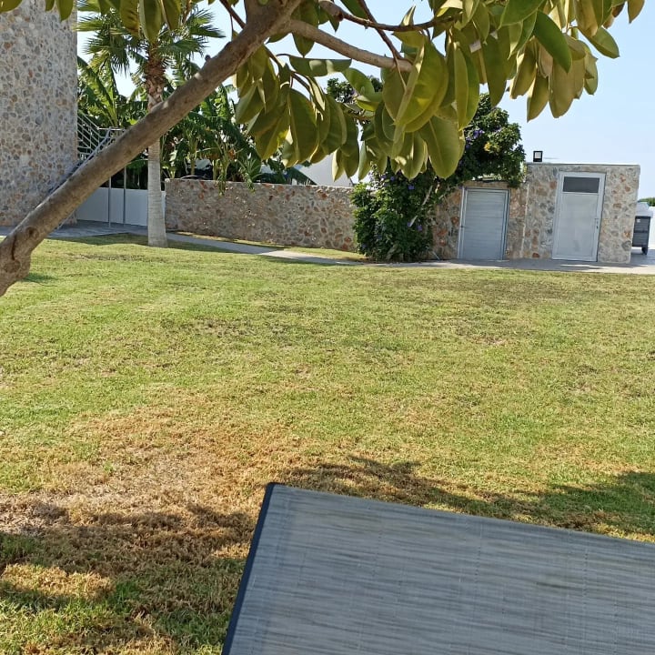 Gartenanlage Sunshine Hotel