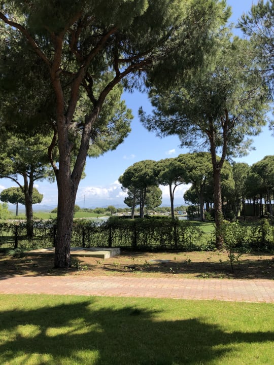 Ausblick ROBINSON NOBILIS