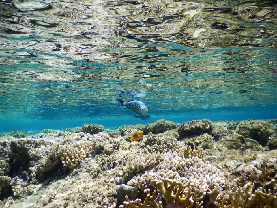 Strand JAZ Belvedere Resort