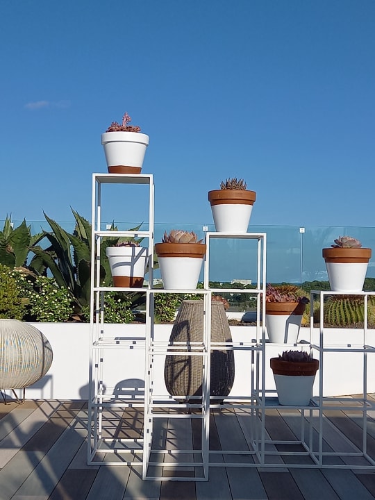 Gartenanlage Iberostar Selection Santa Eulalia Ibiza