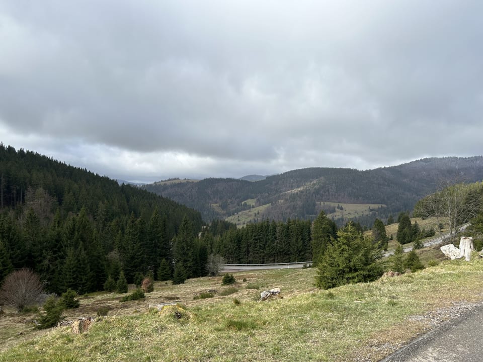 Ausblick derWaldfrieden naturparkhotel