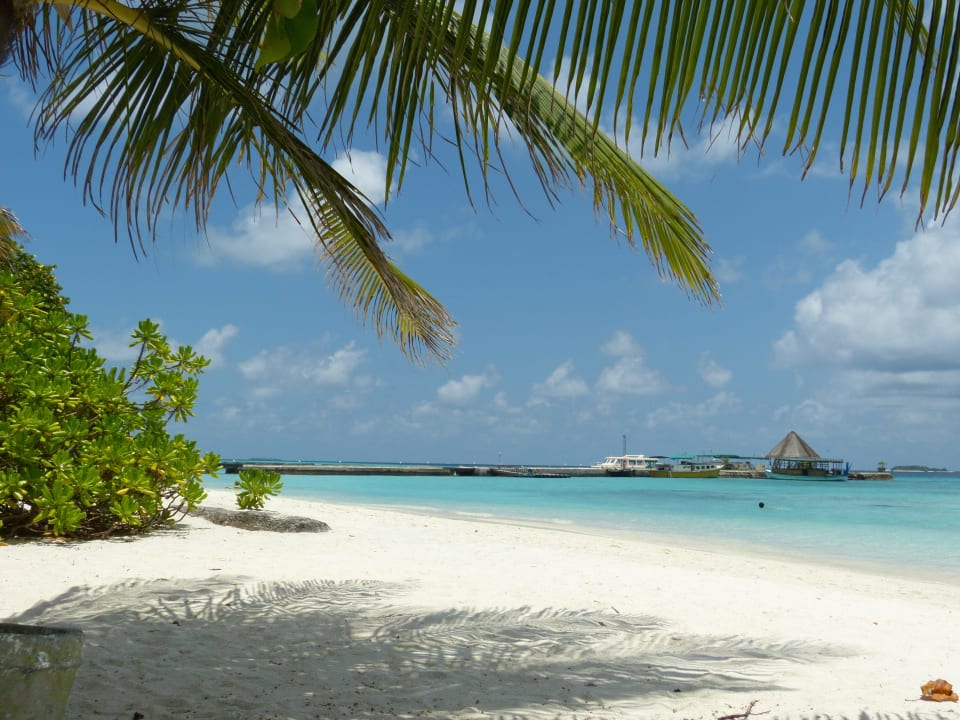 Strand Wasserbungis 301-316 Summer Island Maldives