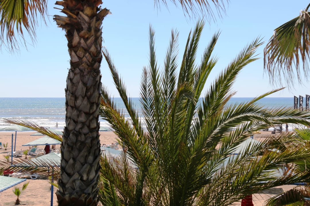 Hotel Paloma Oceana