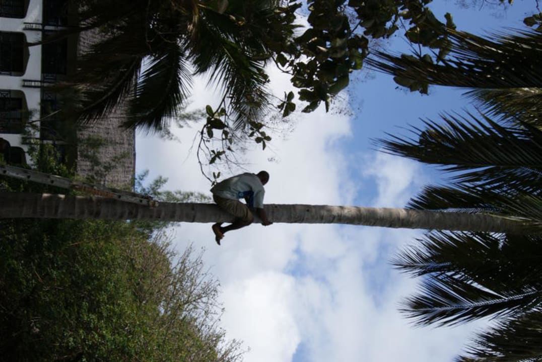 Want a coconut? Hotel Papillon Lagoon Reef