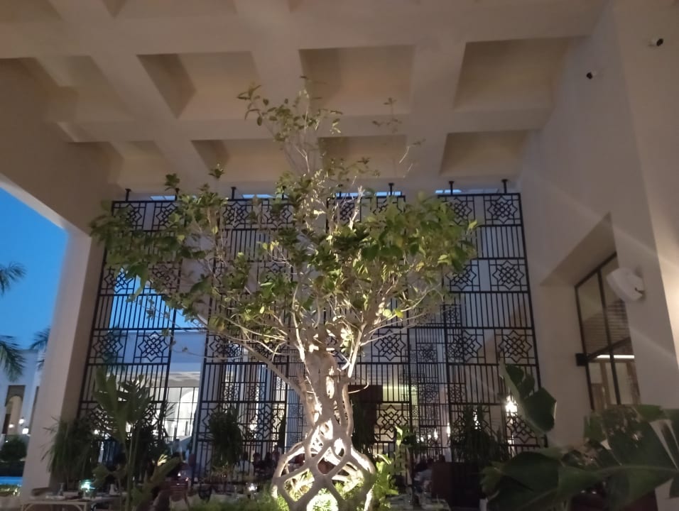 Gastro Steigenberger Coraya Beach - Adults only