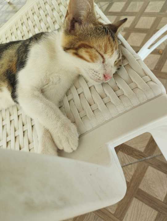 Sonstiges Sultan of Dreams Hotel & Spa