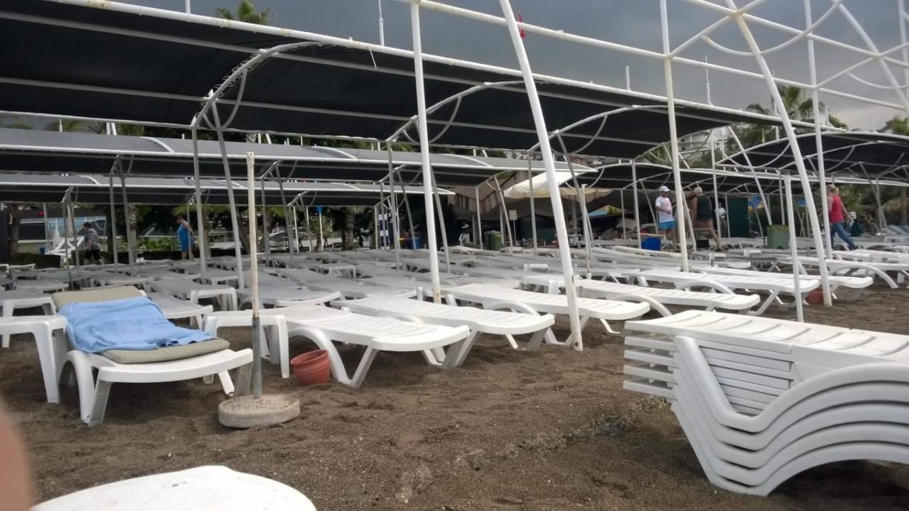 Hotelstrand/Liegen morgens Sealife Buket Resort & Beach