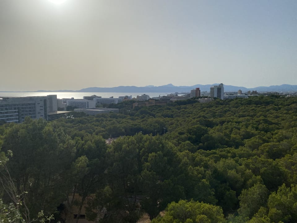 Ausblick Grupotel Orient