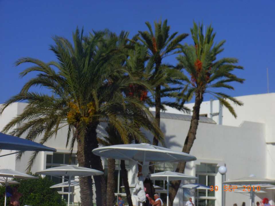 Blick auf die Poolbar El Mouradi Club Kantaoui