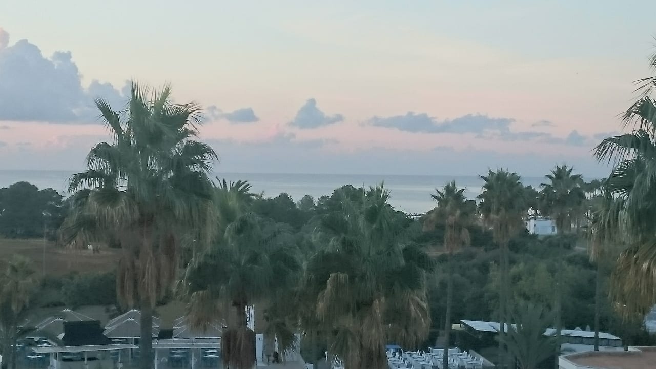 Ausblick Protur Vista Badia Aparthotel