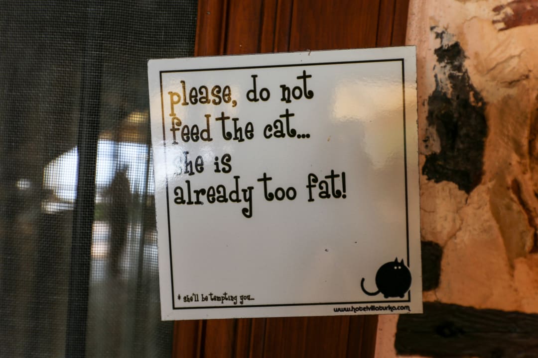 Sonstiges Hotel Villa Turka