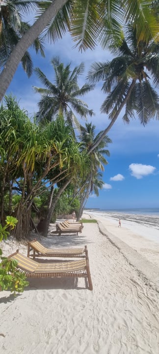 Strand Indigo Beach Zanzibar
