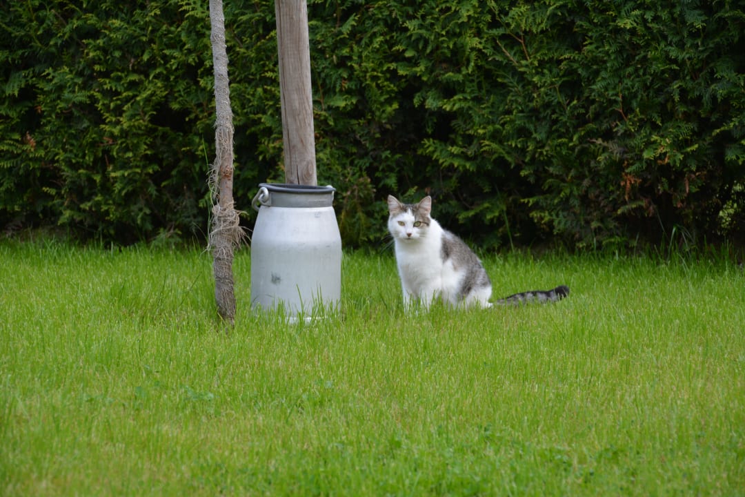 Gartenanlage Ferienwohnung Landromantik