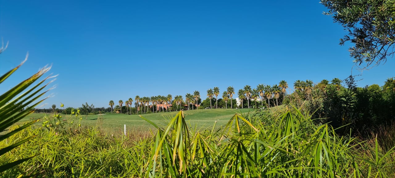 Gartenanlage ROBINSON QUINTA DA RIA