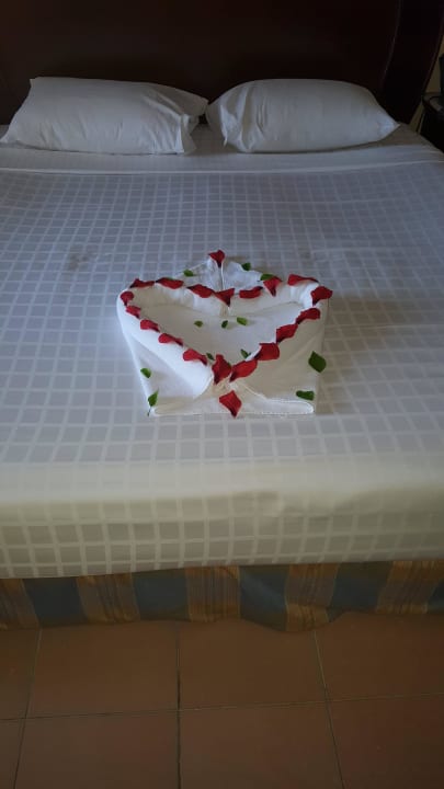 Herz Stella Beach Resort & Spa Makadi Bay