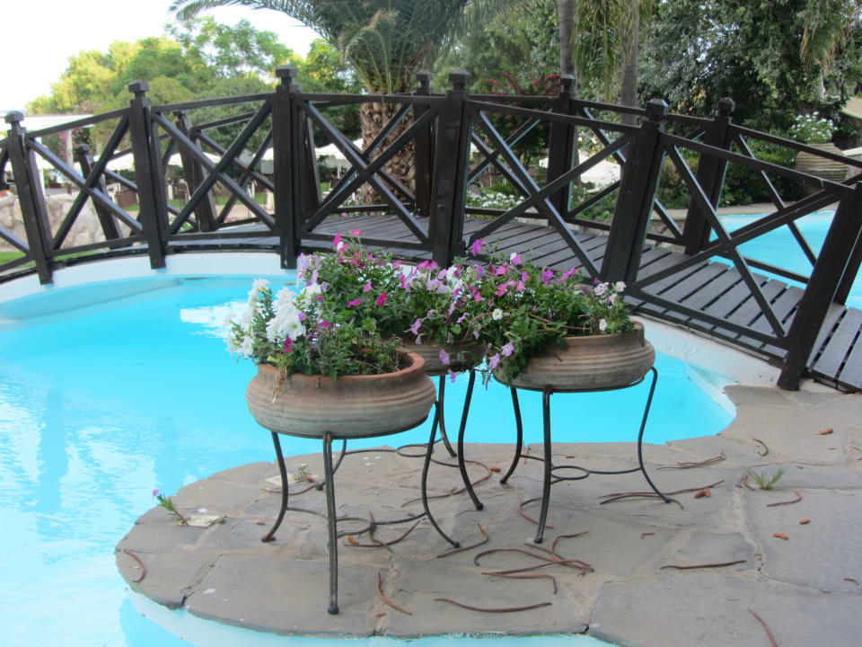 Gartenanlage Hotel Calypso Beach