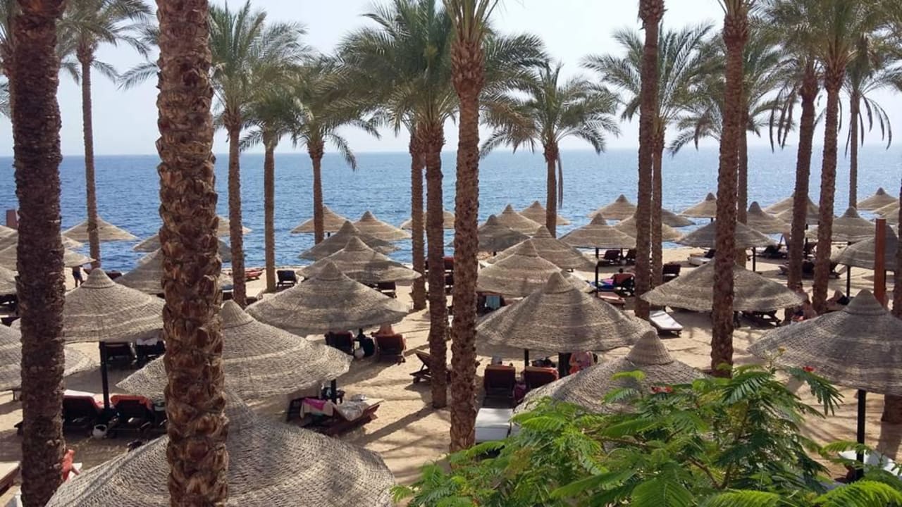 Viel Platz  The Grand Hotel Sharm El Sheikh