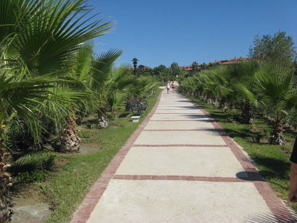 Weg zum Strand Alba Resort Hotel