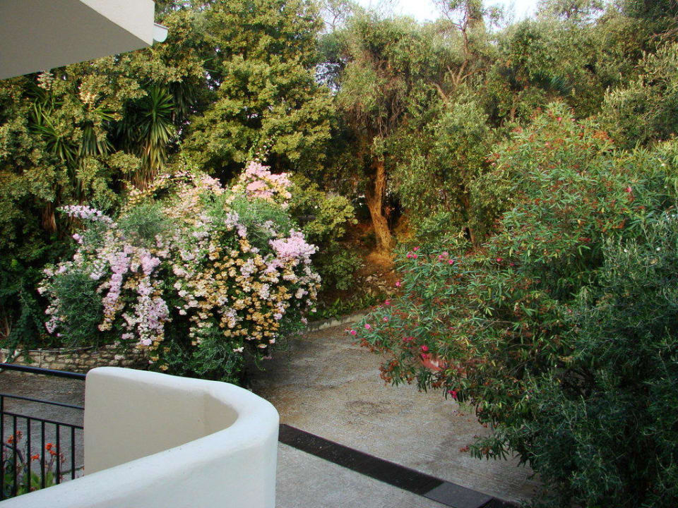 Hinterseite zum Parkplatz Mr. & Mrs. White Corfu