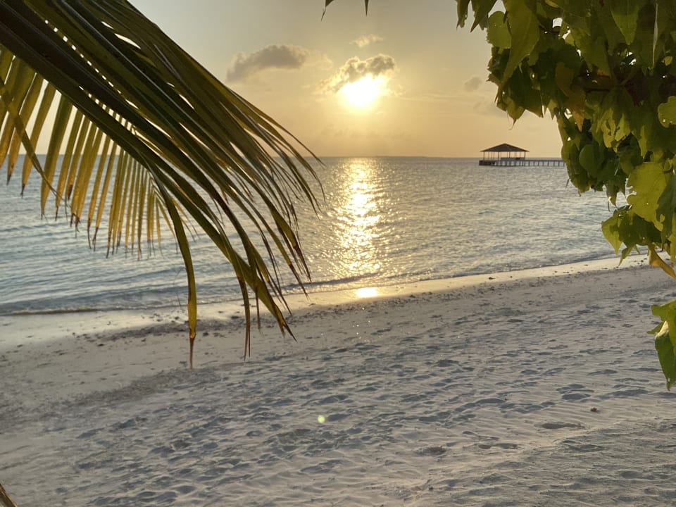 Ausblick South Palm Resort Maldives