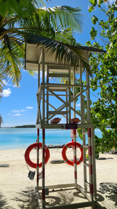 Strand Cinnamon Dhonveli Maldives