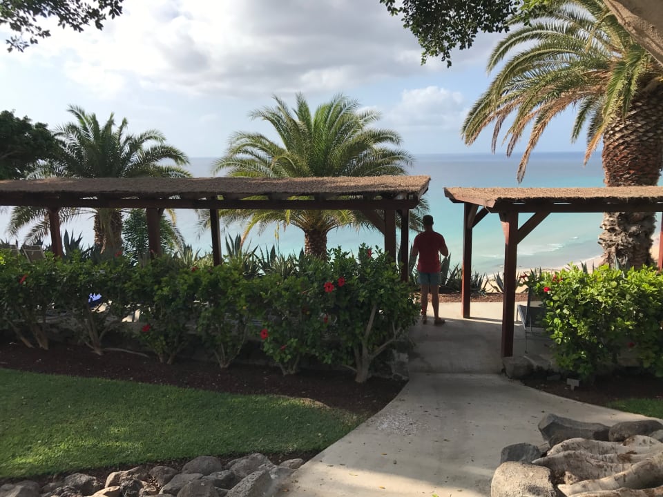 Gartenanlage ROBINSON ESQUINZO PLAYA