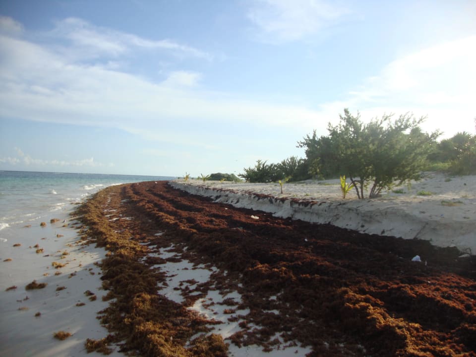 Hotel Catalonia Playa Maroma Catalonia Playa Maroma