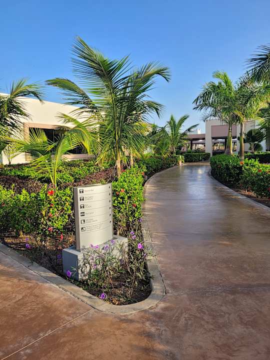 Gartenanlage Hotel Riu Palace Santa Maria