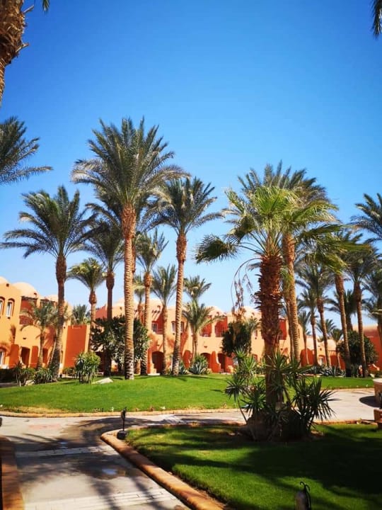 Gartenanlage Jaz Makadi Oasis Resort