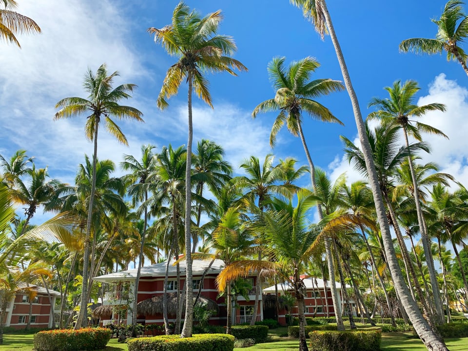 Gartenanlage Grand Palladium Select Bávaro Resort & Spa